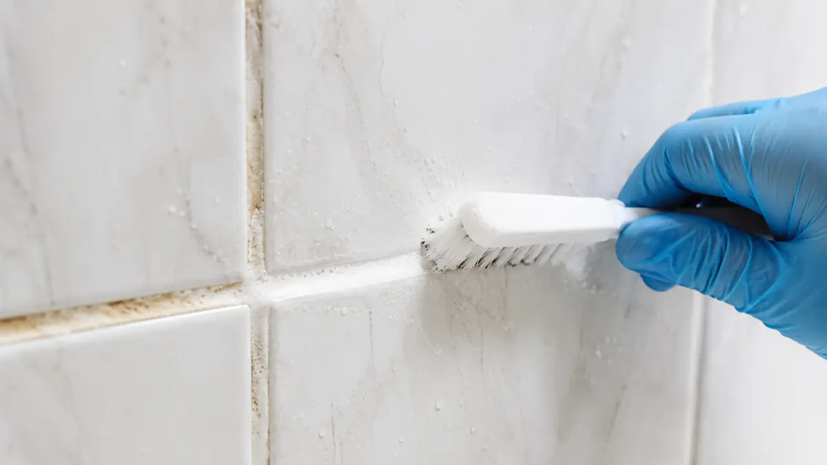 Blanchir un joint de salle de bain avec une brosse sur du carrelage de douche pour retrouver des joints blancs