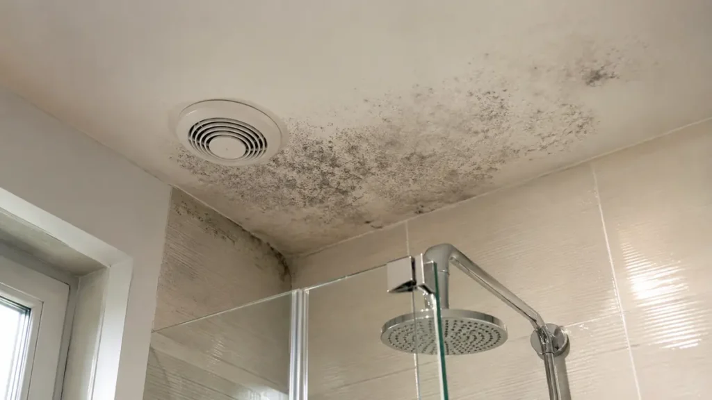 Moisissure au plafond d’une salle de bain malgré une bouche de VMC visible près de la douche